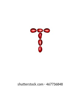 Letter T with pomegranate seeds on a white background