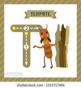 Letter T uppercase cute children colorful zoo and animals ABC alphabet tracing flashcard of Termite for kids learning English vocabulary and handwriting vector illustration.