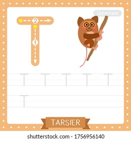Letter T uppercase cute children colorful zoo and animals ABC alphabet tracing practice worksheet of Tarsier hanging on tree for kids learning English vocabulary and handwriting vector illustration.