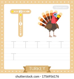 Letter T uppercase cute children colorful zoo and animals ABC alphabet tracing practice worksheet of Turkey bird for kids learning English vocabulary and handwriting vector illustration.
