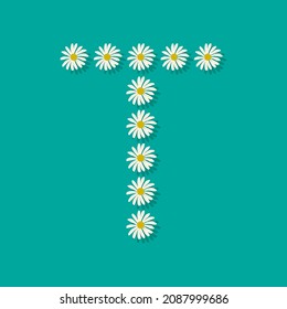 Letter T from white chamomile flowers. Festive font or decoration for spring or summer holiday and design. Vector flat illustration