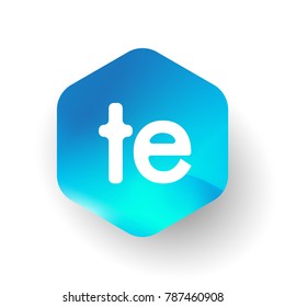 Letter TE logo in hexagon shape and colorful background, letter combination logo design for business and company identity.
