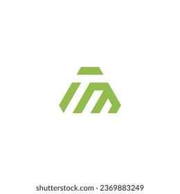 letter tm logo vector image