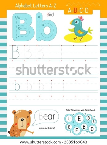 Letter Tracing Worksheet for Activity Book for kids. For Letter B upper and lower case. Preschool tracing and writing practice for toddler and teacher. Vector printable page for Exercise book. 