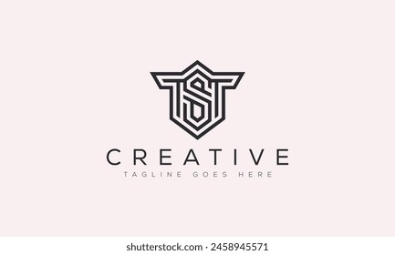 Letter TS logo design template vector illustration