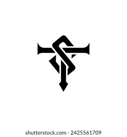 Letter TS ST Monogram Logo Design Template Flat Vector