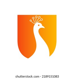 Letra U Hermoso Logotipo Peacock Plantilla Vector Modelo Coloroso