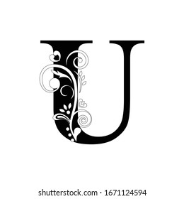 letter U. Black flower alphabet.  Beautiful capital letters