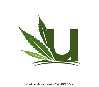 letter U cannabis logo template. marijuana abstract logo, cannabis green leaf logo