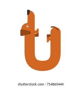 Letter U is dog. pet font. Dachshund alphabet. Lettering home animal