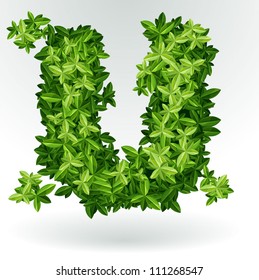 Letter U, green leaves summer vector alphabet.