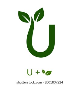 Carta U con un concepto foliar. Muy adecuado para diversos fines comerciales naturales también para ícono, símbolo, logotipo y muchos más.