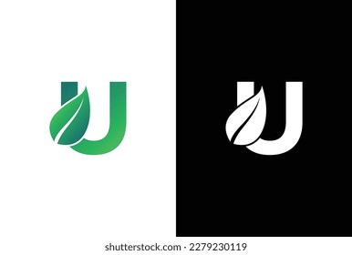 Letra U leaf logo icono de diseño vector de plantilla. Símbolo, alfabeto, botánico, diseño natural del logotipo de la letra U.