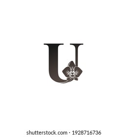 Letter U logo icon with black orchid design vector illustration