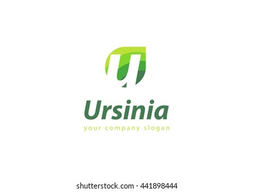 letter U logo Template for your company