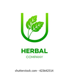 Letter U logo,Green leaf,Herbal,Pharmacy,ecology vector illustration