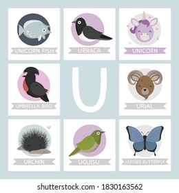 Letter U named animals. Cute animals alphabet for kids from A to Z. Cartoon animals card. Vector illustration