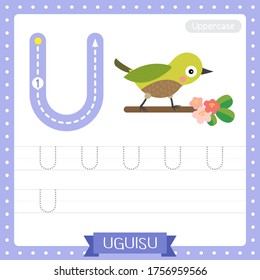 Letter U uppercase cute children colorful zoo and animals ABC alphabet tracing practice worksheet of Uguisu bird for kids learning English vocabulary and handwriting vector illustration.