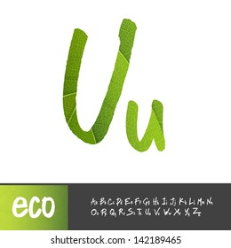 Letter U, Uppercase And Lowercase Variants. Green leaf textured alphabet, vector.