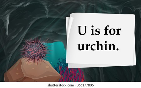 Letter U is for urchin illustration