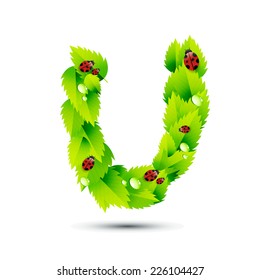Letter U, vector alphabet of green leaves,ladybugs and water drop on white background