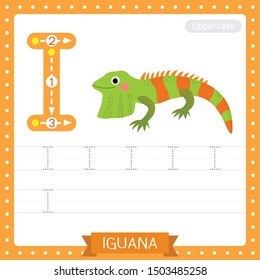 Letter I uppercase cute children colorful zoo and animals ABC alphabet tracing practice worksheet of Iguana for kids learning English vocabulary and handwriting vector illustration.