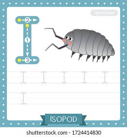 Letter I uppercase cute children colorful zoo and animals ABC alphabet tracing practice worksheet of Isopod for kids learning English vocabulary and handwriting vector illustration.