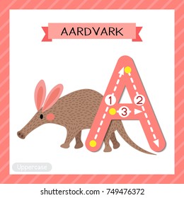 Letter A uppercase cute children colorful zoo and animals ABC alphabet tracing flashcard of Walking Aardvark for kids learning English vocabulary and handwriting vector illustration.