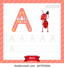 Letter A uppercase tracing practice worksheet with ant for kids learning to write. Vector Illustration.