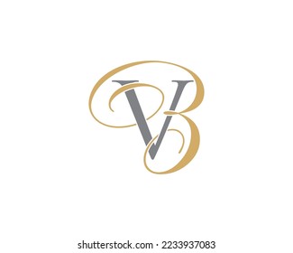 Letter V and B Logo Icon 010