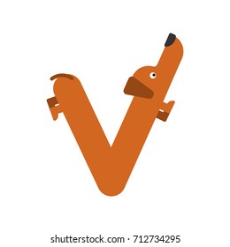 Letter V is dog. pet font. Dachshund alphabet. Lettering home animal. Vector illustration