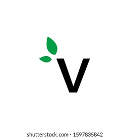 The letter v Eco leaves logo icon design template elements. Vector color sign