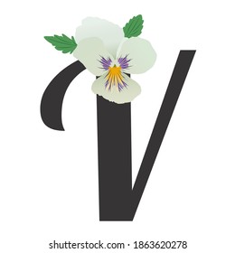 The letter V of the English flower alphabet with a single pansy bud. Garden violet is white with a pastel green hue, purple spots, a yellow center. Hand-drawn vector illustration. For decorating text.