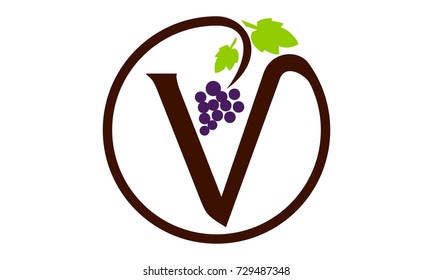 Letter V Grape Modern Logo 