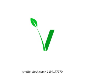 Letter V Green Leaf Logo Design Element
