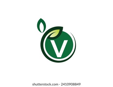 Letter V Green leaf logo design vector template. Letter V Nature Growth Leaf vector logo