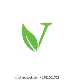 Vector de diseño de plantillas de logotipo verde de letra V y hoja