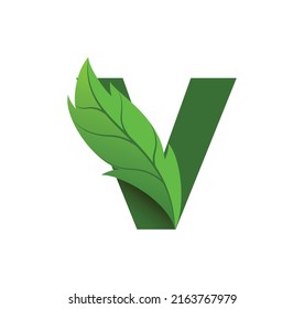 Letter V Leaf Logo Design Vector