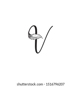 Letter V logo. Calligraphic icon with natural leaf element. Alphabet initial for cosmetics, food, health, pharmacy, drugstore, organic & ecologic lifestyle. Decorative character hand drawn lettermark.