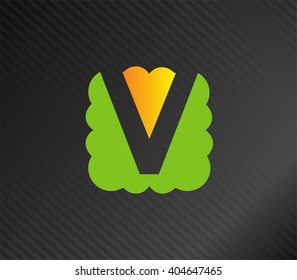 Letter v logo icon design template elements

