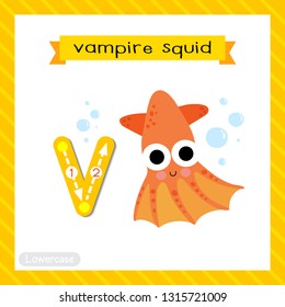 Letter V lowercase cute children colorful zoo and animals ABC alphabet tracing flashcard of Vampire Squid for kids learning English vocabulary and handwriting vector illustration.