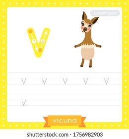 Letter V lowercase cute children colorful zoo and animals ABC alphabet tracing practice worksheet of Vicuna for kids learning English vocabulary and handwriting vector illustration.