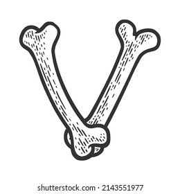 letter V made of bones sketch engraving vector illustration. Bones font. T-shirt apparel print design. Scratch board imitation. Black and white hand drawn image.