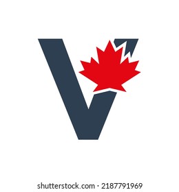 Letter V Maple Leaf Logo Template Symbol Of Canada. Minimal Canadian Logo Business And Company Identity