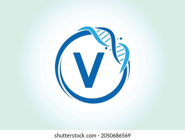 Letter V monogram alphabet in a circle with DNA. Genetics logo design concept. Font emblem. Modern vector logo for medicine, science, laboratory, business, and company identity