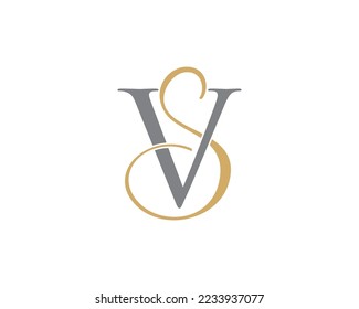 Letter V and S Logo Icon 010