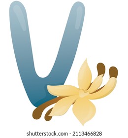Letter V and stick and vanilla flower on a white background, training card. English vocabulary and alphabet, vector for children, learning aid in kindergarten and school