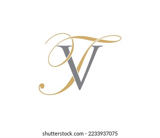Icono de logotipo de letra V y T 010