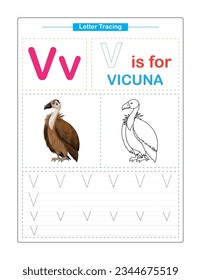 Letter V.  Uppercase and Lowercase. Cute children. Colorful ABC alphabet tracing. Practice worksheet for kids. Learning English vocabulary and handwriting. Letter Trace. Vector illustration