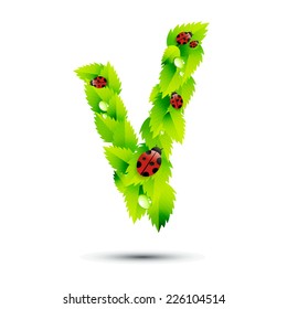 Letter V, vector alphabet of green leaves,ladybugs and water drop on white background